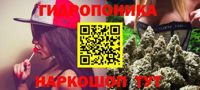 гашик Волгодонск
