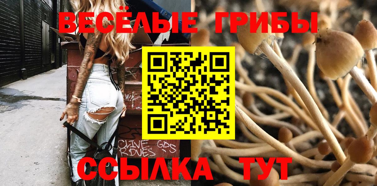 Псилоцибиновые грибы Magic Shrooms Сафоново