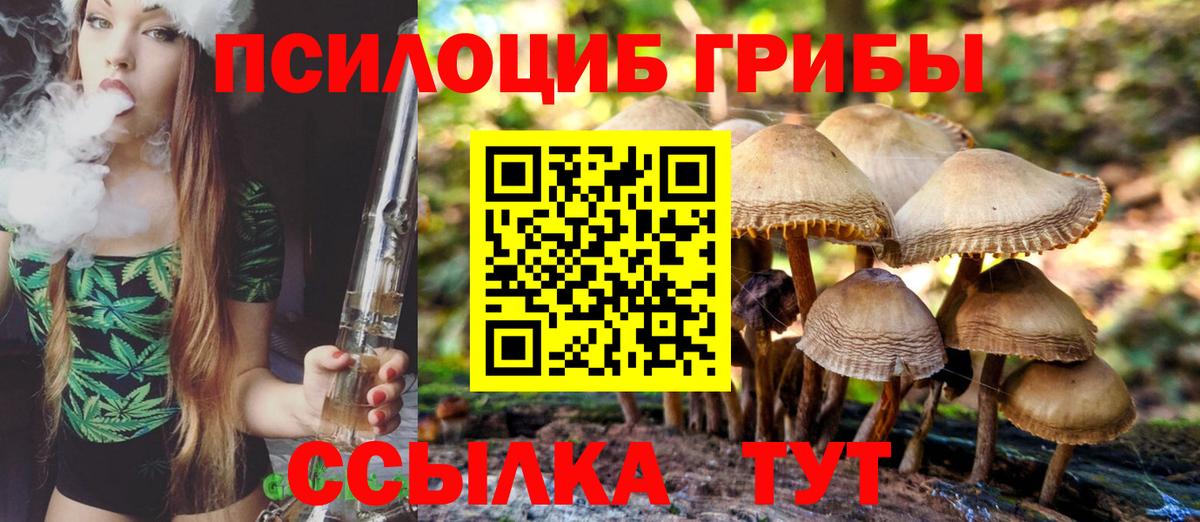 Сафоново  Галлюциногенные грибы прущие грибы  Псилоцибиновые грибы мицелий  Вход с VPN 